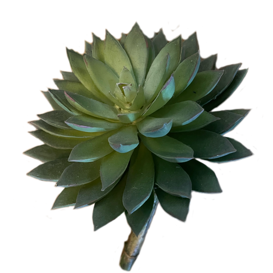 Faux Succulent