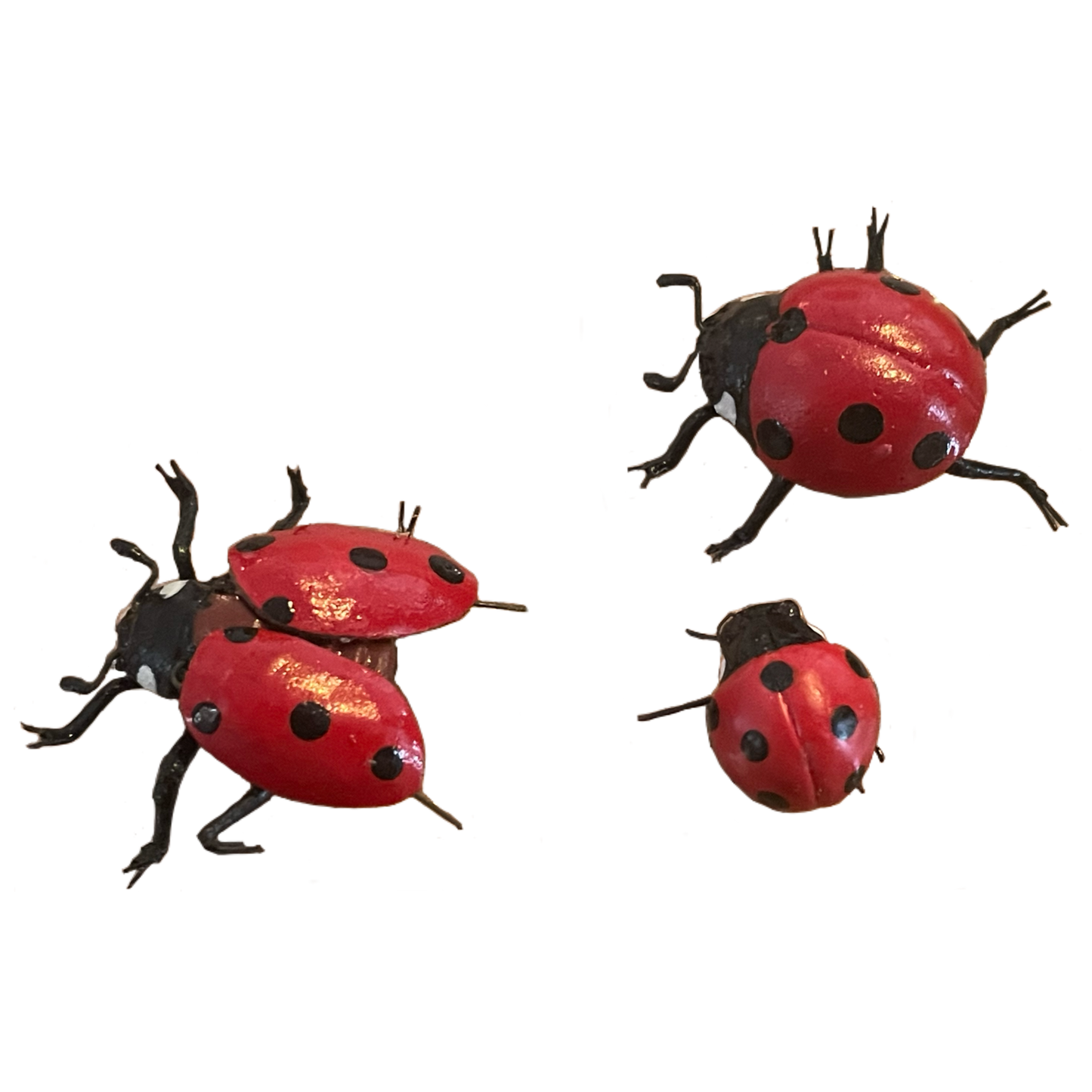 Ladybug Magnet Set