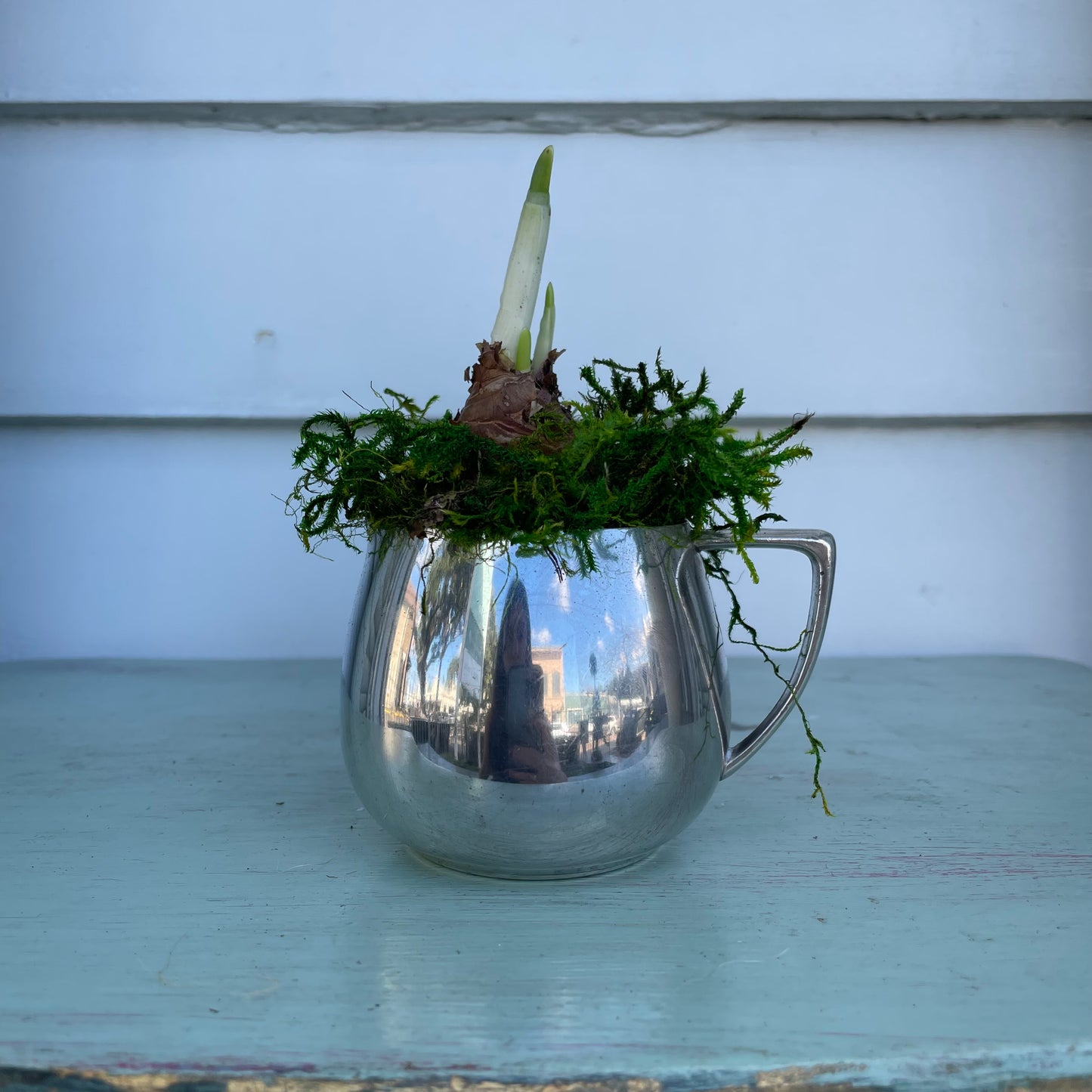 Paperwhites- Silver Round Creamer Pitcher