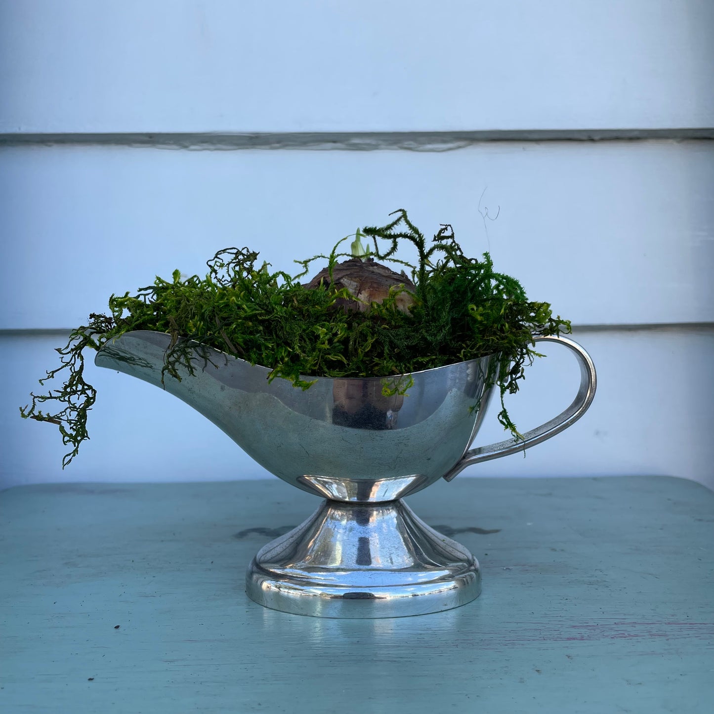 Paperwhites- Silver Gravy Boat
