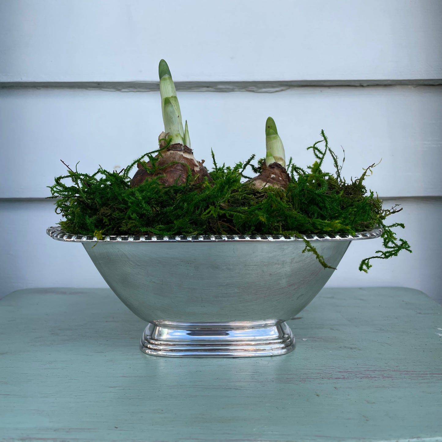 Paperwhites- Silver Deep Rectangular Dish