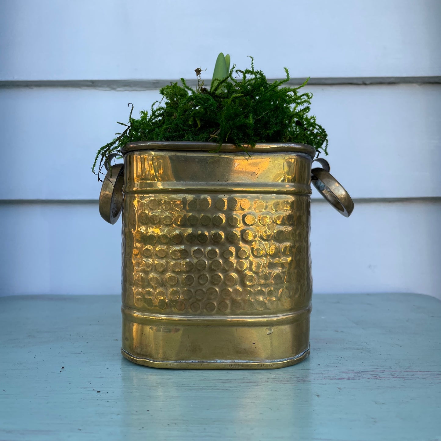 Paperwhites- Brass Square Planter