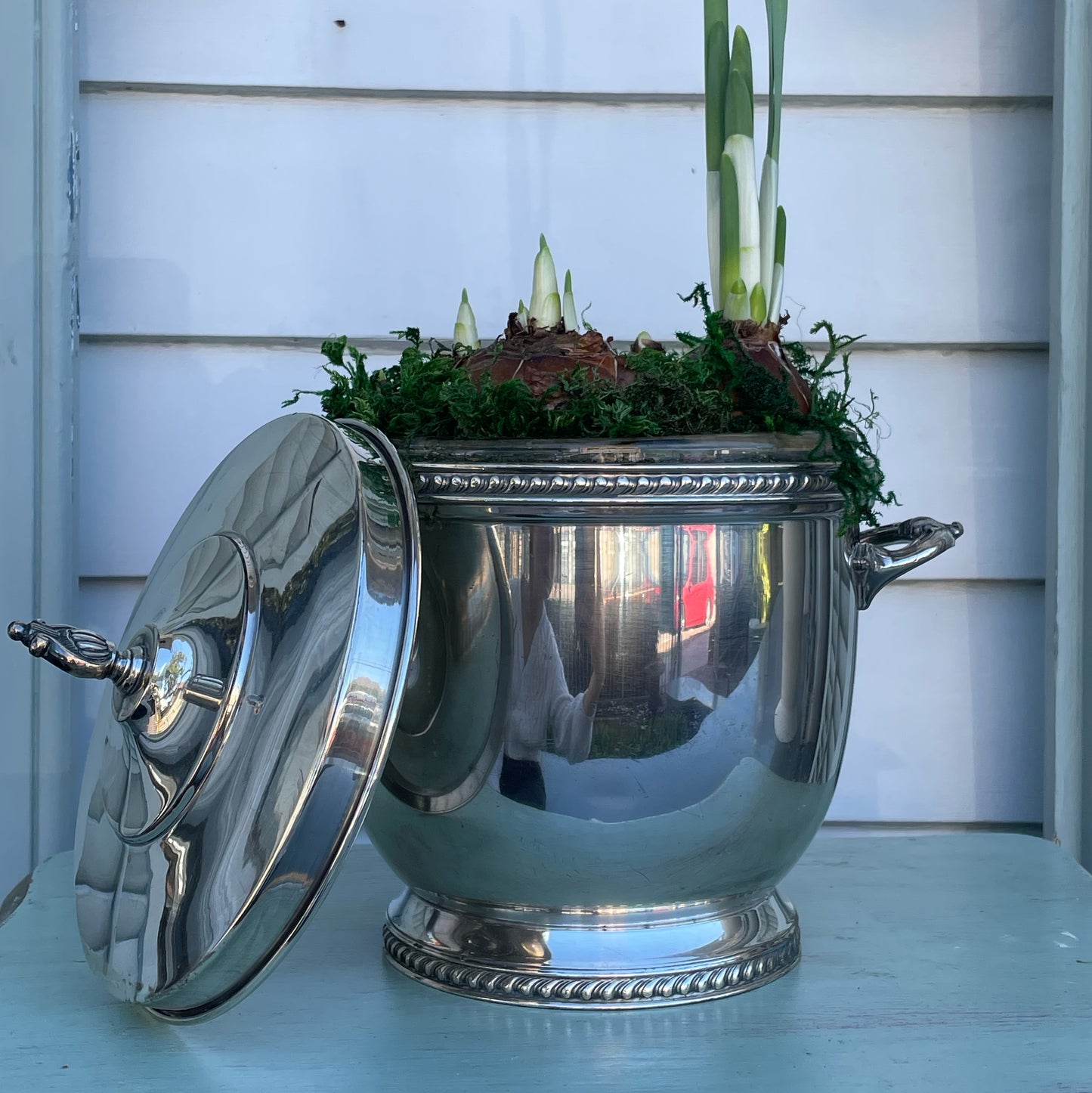 Paperwhites- Silver Ice Bucket