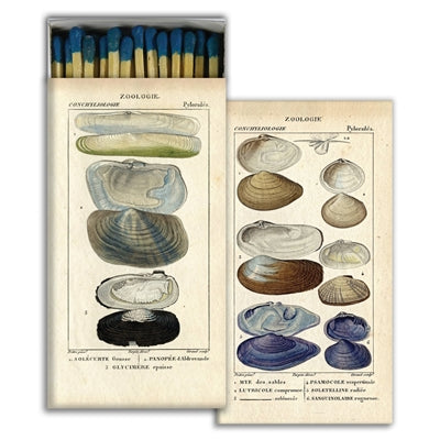 Seashells Diagram Matches