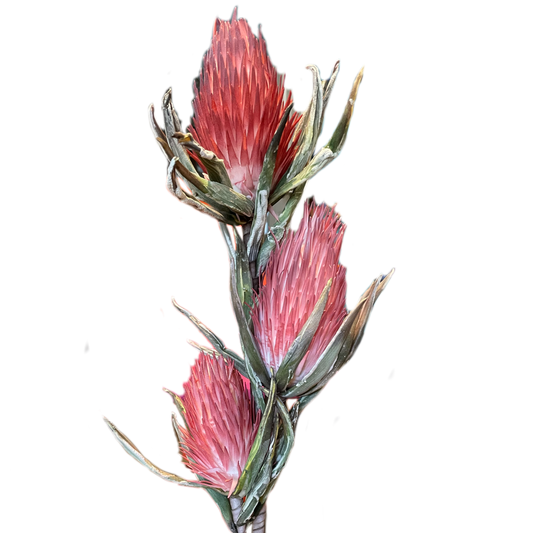 Faux Pink Thistle Botanica