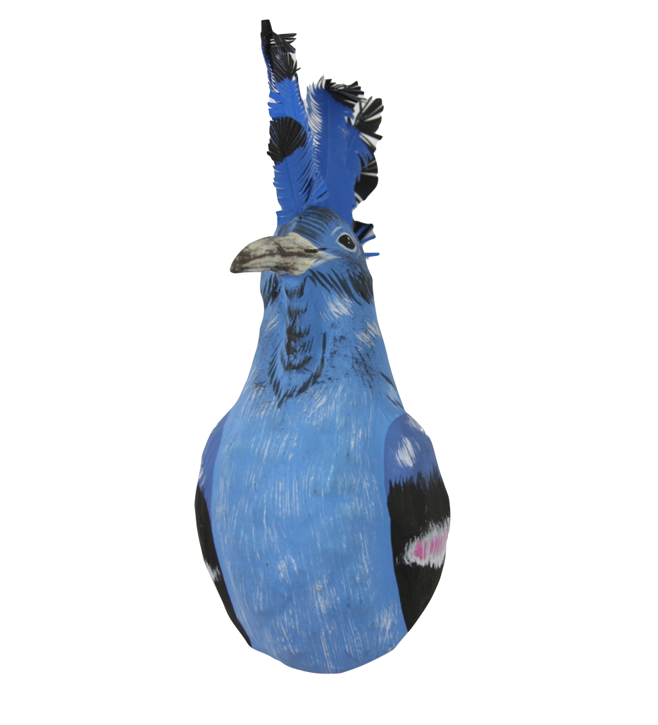 Blue Hoopoe Bird Mount