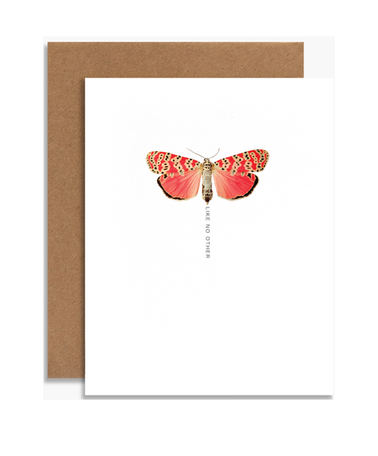 Coral Moth Greeting Cards