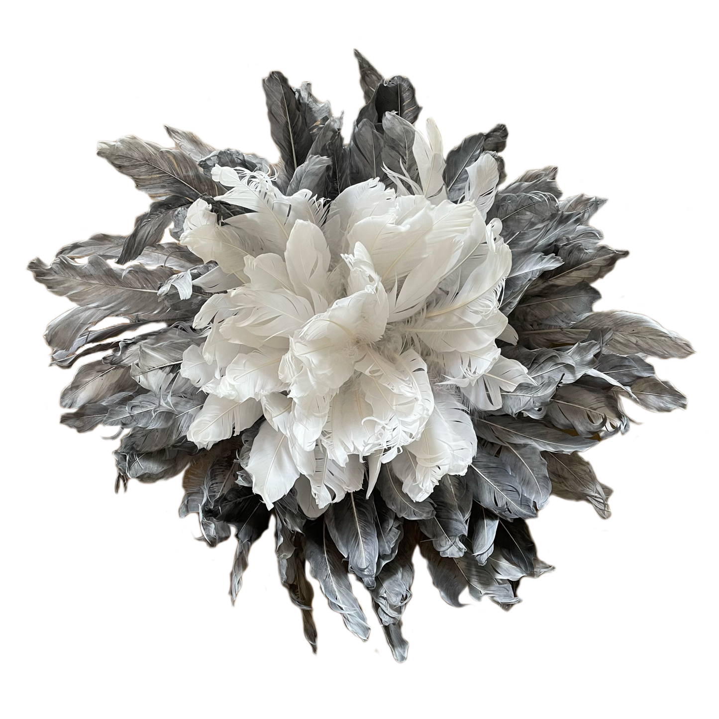 Grey & White Feather Bloom