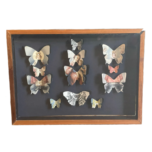 Holy Butterflies Shadow Box