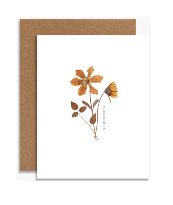 Pressed Orange Flowers Greeting Cards