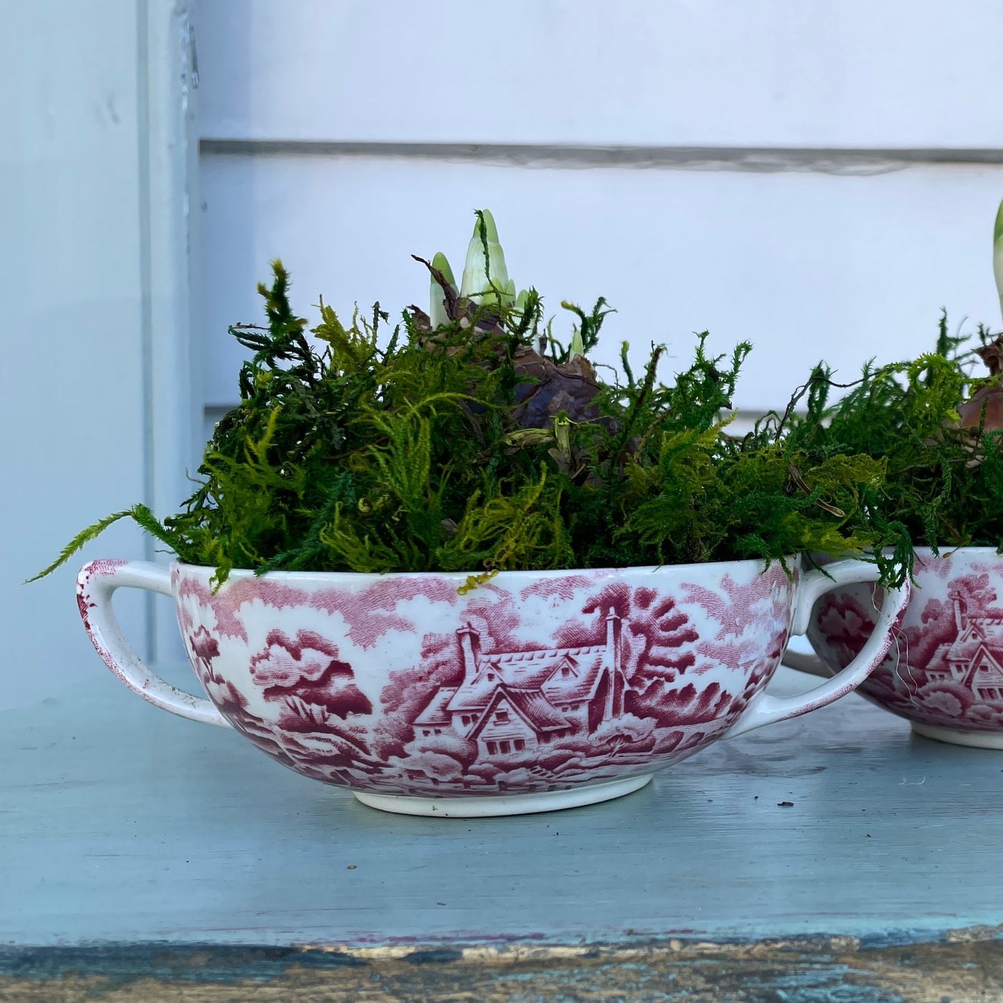 Paperwhites- Red & White Soup Dish