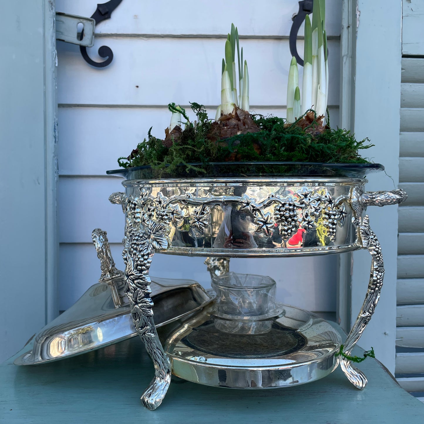 Paperwhites- Silver Chafing Dish